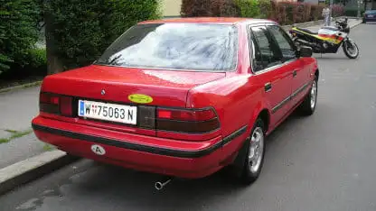 Carina von hinten